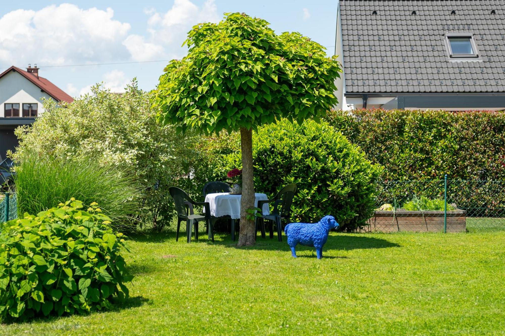 Relax Apartma Peter Ptuj Buitenkant foto